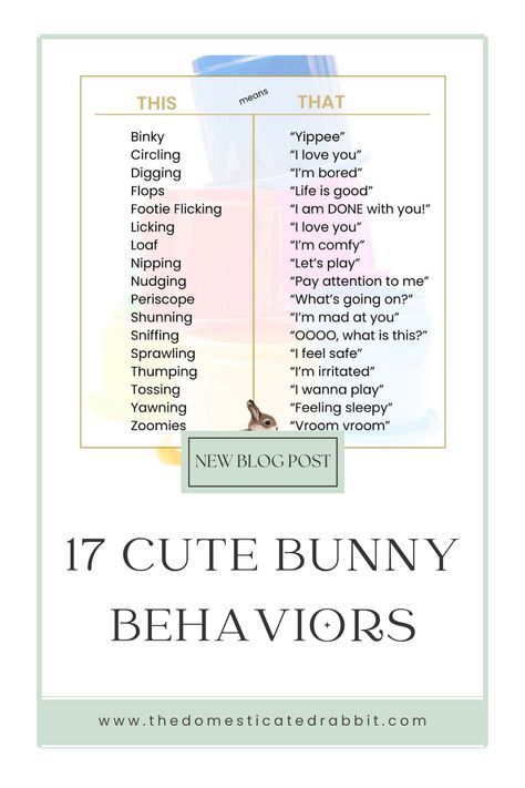 list of cute bunny behaviors and what they mean Bunny Regressors, Bunny Behavior, Fiber Animals, Im Mad At You, Rabbit Behavior, Verbal Behavior, Bunny Care, Bunny Mom, Feeling Sleepy