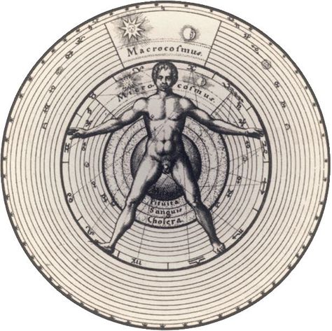 Zodiac as a Developmental Stage Model Human Life Cycle, Anima Mundi, The Doors Of Perception, Vitruvian Man, Occult Symbols, Occult Art, Worlds Of Fun, Sacred Geometry, Astronomy