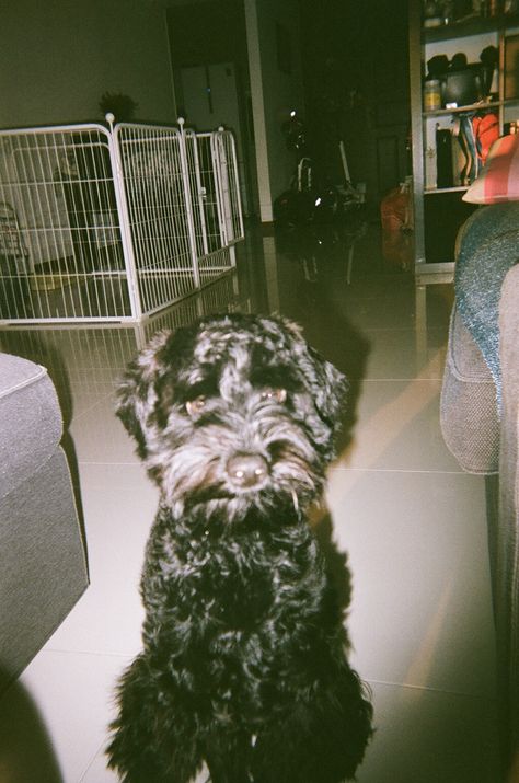 Fujifilm Quicksnap, Japan Apartment, Disposable Camera, Flash, Apartment, Japan, Film