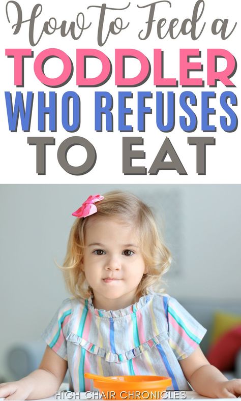 Toddler Won’t Eat, Toddler Meals Picky, Toddler Wont Eat, Picky Eating Toddler, Toddler Picky Eater, Picky Toddler Meals, Toddler Speech, Toddler Hacks, Easy Toddler Meals