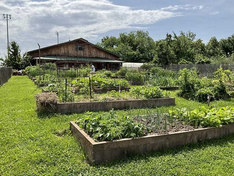 Home - Kansas City Community Gardens Community Garden Design, Spring Vegetable Garden, Container Herb Garden, Spring Crops, Garden Site, Community Gardens, Plants And Gardening, Vacant Land, Spring Vegetables