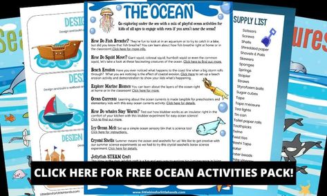 How To Make An Ocean Sensory Bottle - Little Bins for Little Hands Emotional Awareness Activities, Oil Spill Experiment, Ocean Science Activities, Ocean Printables, Ocean Activities Preschool, Pollution Activities, Ocean Lesson Plans, Chemistry Experiments For Kids, Science Experiments Kids Preschool