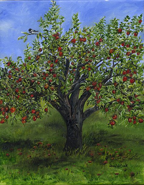 The Apple Tree, by Linda W Clark is an oil painting on cotton canvas measuring 8 x 10 inches. It was completed in July of 2015 with Giclee prints following. Tree Plan Photoshop, Apple Tree Painting, Tree Painting Ideas, Tree Garden Design, Drawing Apple, Palm Tree Drawing, Birch Tree Wedding, Tree Outline, Red Maple Tree