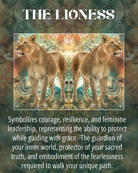 The symbolism infused in “Inner Lioness”from the Animal Energy Transmissions Postcard series. 👇🏻✨ Every detail – from the fierce lioness to the vibrant dragonfruit and grounding morrisonite jasper – is carefully chosen to support you in reclaiming your power and trusting in your inner strength. The lioness, a symbol of fierce feminine energy, invites you to connect with your own innate power. She teaches us to trust our instincts, stand tall in our truth, and take bold steps forward, showin... Leopard Meaning, Lioness Energy, Fierce Lioness, Morrisonite Jasper, Visual Manifestation, Sacred Mandala, Staying Grounded, Inner Landscape, Animal Symbolism