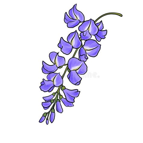 Vine Drawing, Flowers Drawing, Drawing Flowers, Hand Drawn Illustration, Drawn Illustration, Flower Doodles, Drawing Images, Wisteria, Purple Floral