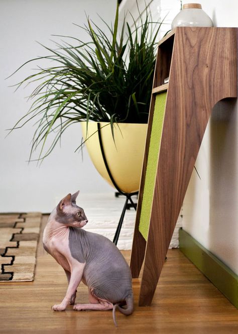 Modern Pet Furniture, Chat Diy, Kat Diy, Mid Century Cat, Modern Cat Furniture, Modern Cat Tree, Accessories Cute, Modern Pet, Cat Scratching Post