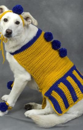 Dog Outfit, Coat Crochet Pattern Crochet Cheerleader, Dog Sweater Crochet Pattern, Dog Sweater Pattern, Crochet Dog Sweater, Poor Dog, Dog Dress, Dog Halloween Costumes, Dog Costumes, Crochet Dog