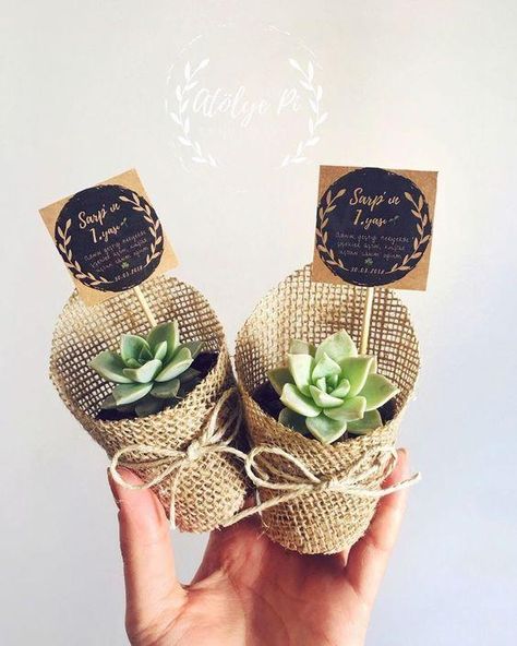 Wedding Return Gifts, Ideas Aniversario, Succulent Wedding Favors, Wedding Gift Pack, Minimal Plant, Succulent Gift, Wedding Giveaways, Return Gifts, Succulent Gifts