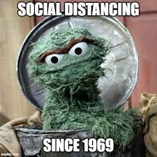 oscar the grouch Memes & GIFs - Imgflip Oscar The Grouch Quotes, Muppets Funny, Rage Art, Oscar Night, Sesame Street Muppets, Fraggle Rock, Oscar The Grouch, Marvel Characters Art, June 1st