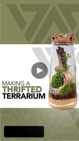 16K views · 2.2K reactions | Anyone have any suggestions on how to get the label off the bottom 🥴

I love the idea of an item living multiple lives. I hope this glass enjoys its new life as a terrarium 🌱

#terrarium #terrariumdesign #terrariumlove #terrariumdreams #moss #howto #diy #fyp #terrariumsofinstagram #portland #cactus #succulents #beaverton #pdx #plantshop #local #smallbusiness #plantsplantsplants #plants #plantsmakepeoplehappy #plantsofinstagram | JOHNATHON Q SWANSON | johnathonqswanson · Original audio Terrarium Tutorial, Plants Terrarium, Terrarium Moss, Aquarium Sand, Succulent Garden Diy, Cactus Succulents, Moss Terrarium, Driftwood Decor, Terrarium Diy