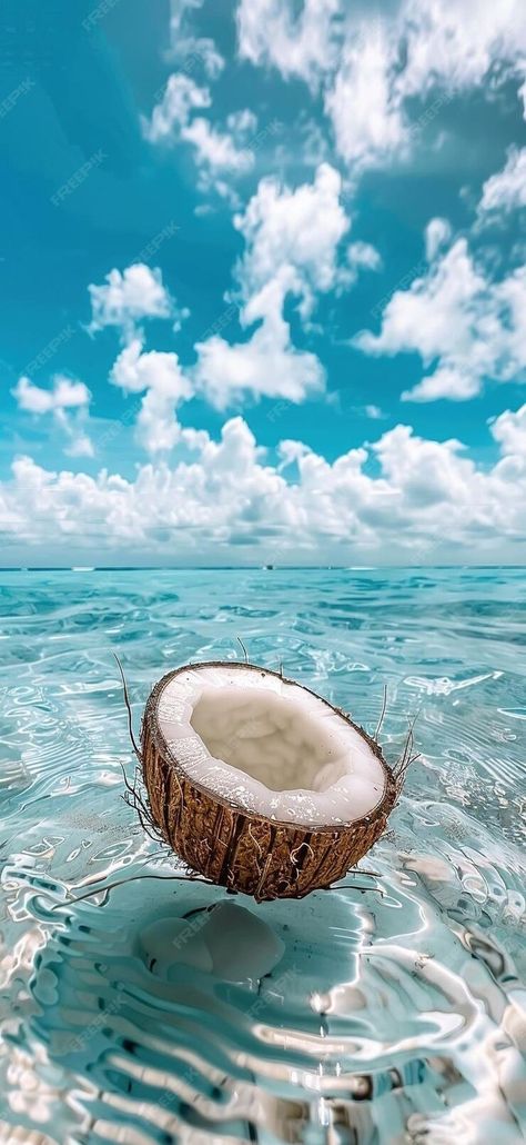 Pool Float Photography, Tropical Background Aesthetic, Coconuts Wallpaper, Coconut Photography, Tropical Island Aesthetic, Coconut Background, Coconut Photo, Sea Life Aesthetic, Coconut Wallpaper