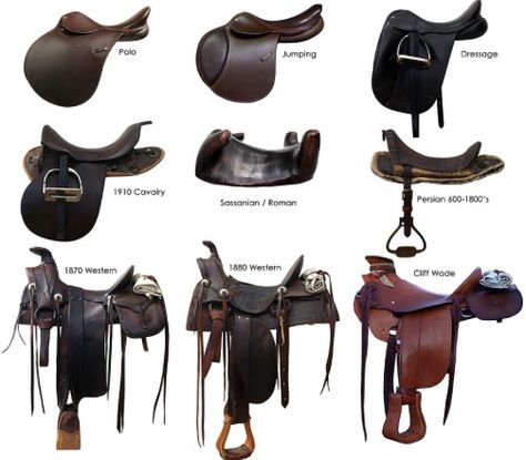 Saddle types Pony Saddle, Horse Information, Horse Facts, Horse Riding Tips, Horse Dressage, Types Of Horses, Horse Equipment, Horse Gear, Horse Tips