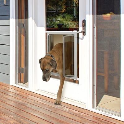 Glass Series | Dog Door for Glass | PlexiDor Dog Doors Dog Doors For Large Dogs, Dog Screen Door, Doggy Doors, Patio Dog Door, Large Dog Door, Pet Screen Door, Doggie Door, French Patio, Sliding Screen Doors