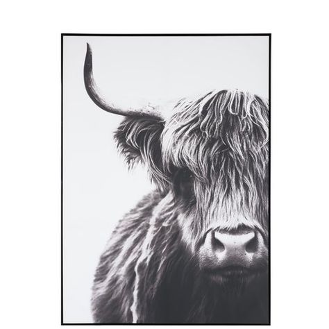 Black And White Farmhouse Decor, Black And White Highland Cow, White Highland Cow, White Farmhouse Decor, Highland Cow Pictures, Black And White Farmhouse, Spring Wall Decor, Highland Cow Canvas, Wall Decor Hobby Lobby