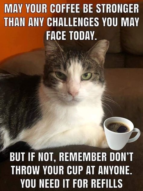 Good Morning Quotes For Coworkers, Thursday Coffee Humor, Good Morning Hilarious, Coffee Funnies, Coffee Thoughts, Work Funnies, Morning Ideas, Coffee Signage, Funny Good Morning Memes