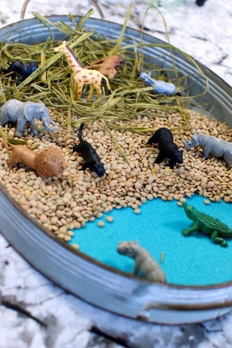 Safari Small World Play 2020 | Entertain Your Toddler Safari Small World Play, World Animal Day Activities, Lion Activities, Zoo Sensory, Jungle Animals Preschool, Jungle Activities, Joy School, Curiosity Approach, Tuff Spot