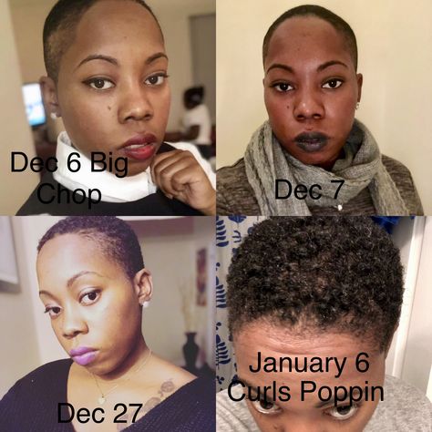 Big Chop Hair Journey Backyard Birthday, Big Chop, Hair Journey, Evolution, Natural Hair Styles, Hair