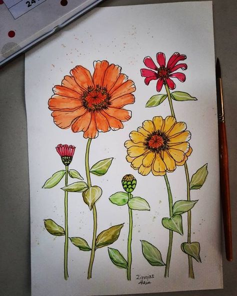 Zinnia Flowers, Diy Watercolor Painting, Diy Art Projects, Diy Watercolor, Color Grouping, November 11, Watercolor And Ink, Have A Great Day, Garden Projects