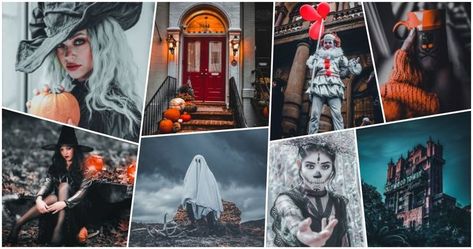 Free Lightroom Free Halloween Lightroom Presets Presets today and transform your images with amazing new Looks. Spooky Lightroom Preset Free, Free Presets For Lightroom Mobile, Free Presets For Lightroom, Learn Photo Editing, Presets Download, Presets For Lightroom, Lightroom Presets Download, Free Presets, New Looks