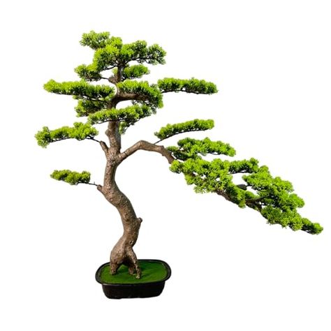 VIGGDA 3ft（43in） Artificial Bonsai Tree Juniper Faux Plants Indoor Big Fake Plants Decor with Ceramic Pots for Home Table Office Desk Bathroom Shelf Bedroom Living Room Farmhouse Decorations Big Fake Plants, Artificial Bonsai Tree, Shelf Bedroom, Farmhouse Decorations, Living Room Farmhouse, Tabletop Water Fountain, Fake Plants Decor, Table Office, Plants Decor