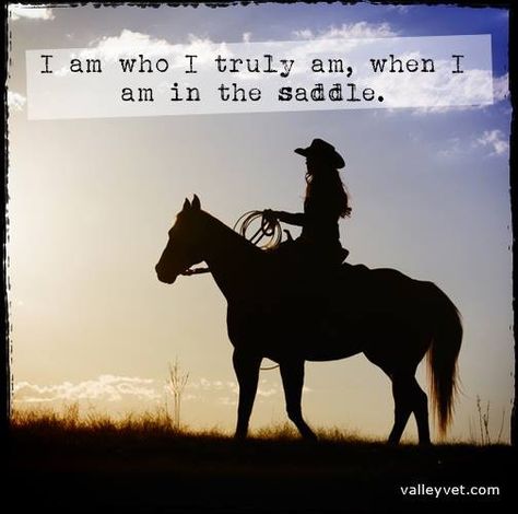 Aesthetic Horse Riding, Rodeo Quotes, Equine Quotes, Horse Riding Aesthetic, Inspirational Horse Quotes, Horse Riding Quotes, Equestrian Quotes, Racing Quotes, Cowgirl Quotes