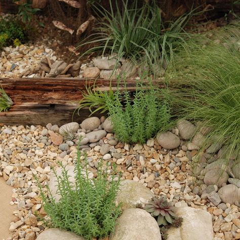 Beach Garden Design, Beach Theme Garden, Dry Riverbed Landscaping, Circular Lawn, Coastal Landscaping, Small Front Gardens, Pebble Garden, Small Garden Landscape, Coastal Garden