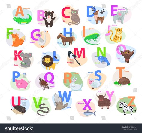 Children ABC with cute animals cartoon vector. English letters A to Z set with funny animals isolated flat illustrations. Zoo alphabet with mammal, bird, pet for preschool education, kids books #Ad , #AD, #letters#English#set#isolated Zoo Alphabet, Cute Animals Cartoon, Bird Pet, Animals Cartoon, Preschool Education, English Letters, Video Games For Kids, Animal Alphabet, Kids Books