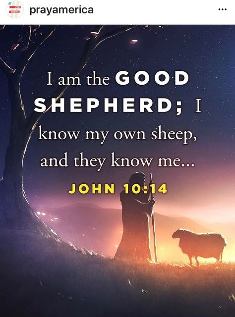 I Am The Good Shepherd, Good Shepherd, Christian Scripture, The Good Shepherd, The Shepherd, I Kings, Jesus Christ, The Good, Sheep