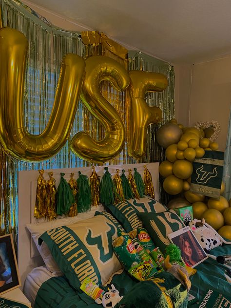 Usf College Bed Party, Usf Aesthetic, Decision Pictures, Trunk Party Ideas College, College Prints, Bed Party, College Vision Board, College Bedding, 2024 Ideas