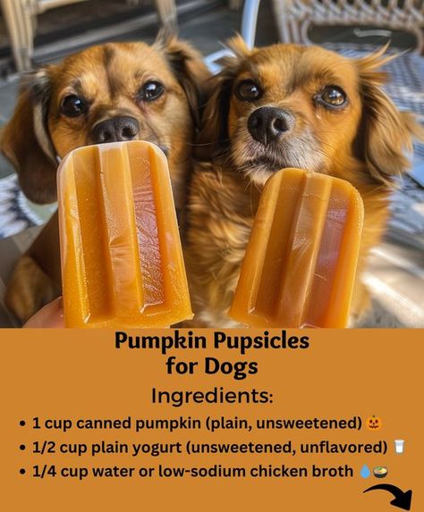 Dog Ice Cream Recipe, Homemade Pet Treats, Animal Treats, Doggy Treats, Pet Things, Dog Ice Cream, Easy Dog Treats, Healthy Dog Treats Homemade, Peanut Butter Pumpkin