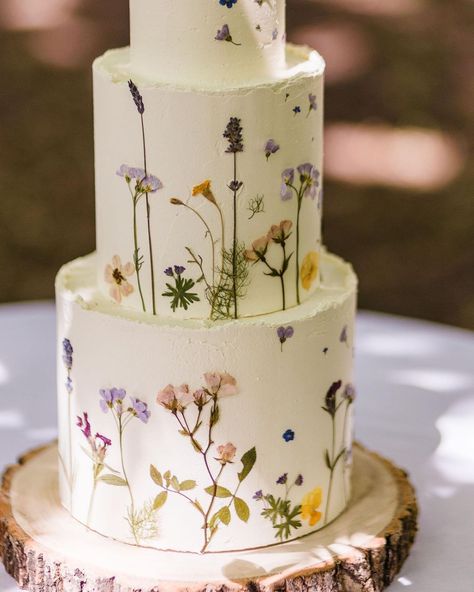 All Posts • Instagram Wedding Cake Wildflowers, Wild Flower Wedding Cake, Wildflower Wedding Cake, Wedding Cake Forest, Wildflower Cake, Wild Flower Wedding, Flower Wedding Cake, Wildflower Wedding Theme, Wildflower Baby Shower