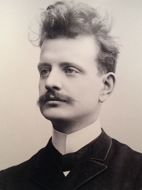 A young Sibelius with crazy hair. Jean Sibelius, Classical Composers, 20th Century Music, Musician Portraits, Classical Music Composers, Famous Historical Figures, Famous Composers, Historical People, People Of Interest