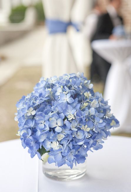 Light Blue Hydrangea Centerpiece, Blue Hydrangea Table Arrangements, Blue Hydrangea Party Theme, Charleston Summer Wedding, Blue Hydrangea Wedding Centerpieces, Hydrangea Centerpiece Diy, Blue Hydrangea Centerpieces, Hydrangea Centerpiece Wedding, Hydrangea Centerpieces