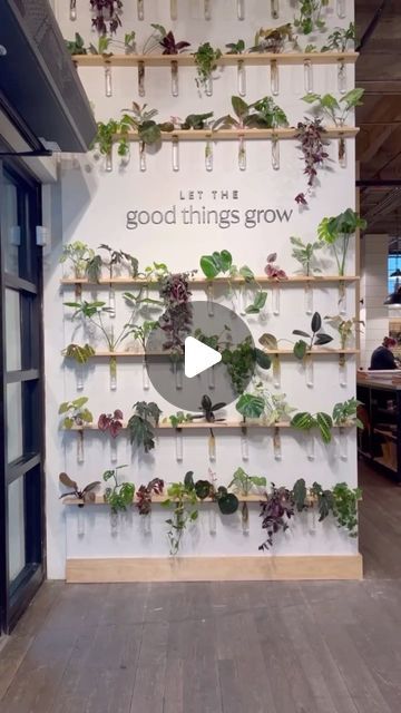 joannagaines on Instagram: I started propagating these beauties last fall in my office, and now they are thriving at the market! 🌿 @visitmagnolia Retail Display Ideas Boutiques, Market Stall Display Ideas, Prop Wall, Market Stall Display, Stall Decorations, Decoration Plants, Stall Display, Plant Wall Decor, Market Stall