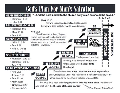 Salvation Scriptures, Bible Genealogy, Sermon Ideas, Bible Charts, Bible Sayings, Scripture Writing Plans, Bible Readings, Bible Study Topics, Bible Study Help