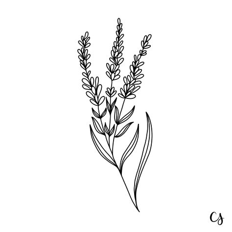 Lavender Outline Drawing, Lavander Drawings Simple, Lavender Flower Drawing, Heather Flower Drawing, Minimalistic Flower Drawing, Lavender Outline, Lavender Doodle, Nordic Flowers, Heather Tattoo Flower