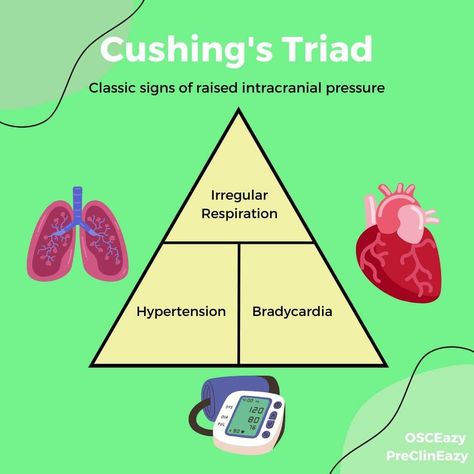 Cushing Triad, Nurse Study, Intracranial Pressure, Nurse Study Notes, Notes Page, Nursing Study, Pediatric Nursing, Nclex, Medical School