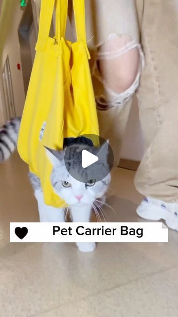 Nio Pets on Instagram: "Travel in style with our Cat Carrier Bag! 🐾✈️ Designed for comfort and convenience, this spacious bag is the purrfect way to take your feline friend on adventures. Safe, snug, and stylish – because every journey deserves a touch of feline flair! 😺👜 #CatTravel #PawsomeAdventures" Cat Harness Diy Pattern, Cat Carrier Bag, Cat Travel, Cat Harness, Instagram Travel, Cat Carrier, Travel In Style, Cat Diy, Carrier Bag