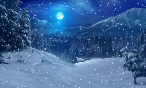 Snow falls during the night in the moonlight Snow Falling Gif, Schnee Gif, Falling Gif, Anime Snow, Snow Gif, Gif Background, Scene Wallpaper, Snow Forest, Winter Background