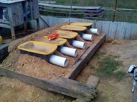 Brilliant nest boxes for colony rabbits! Rabbit Colony Set Up, Rabbit Colony Ideas, Colony Rabbits, Rabbit Husbandry, Rabbit Nesting Box, Rabbit Colony, Offgrid Lifestyle, Rabbit Farming, Rabbit Hutch Plans