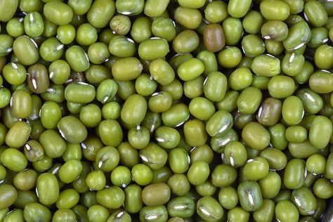 Mung Beans (Green Gram) Nutrition & Health Benefits Beans For Babies, Soup Cleanse, Indian Lentils, Sprouting Seeds, Baby First Foods, Bean Seeds, Cheap Healthy Meals, Simple Sandwiches, Mung Bean