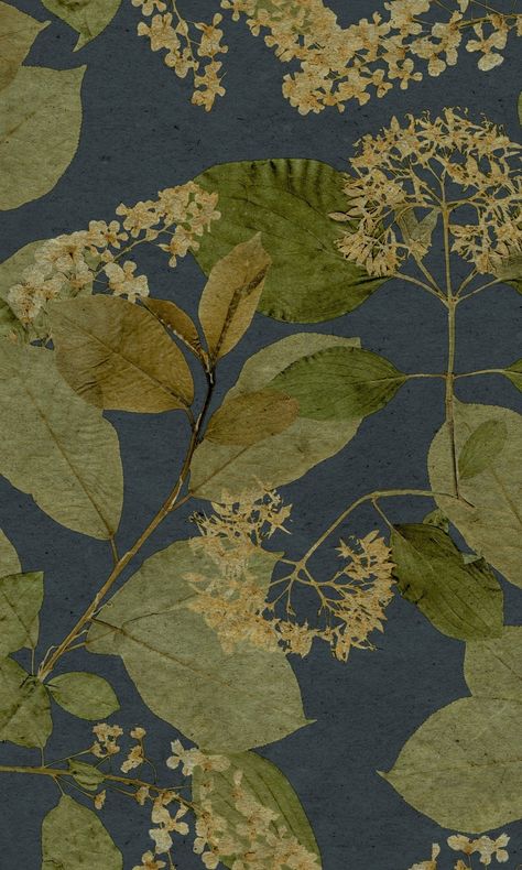 Midnight Blue Tropical Leaves Wallpaper R9132 – Walls Republic US Nature Wallpaper For Walls Interiors, Juniper Forest Wallpaper Bathroom, Built In With Wallpaper Back, Cottage Bathroom Wallpaper, Wallpaper Ceiling Dining Room, English Country Wallpaper, Fall Landscape Wallpaper, Botanical Wallpaper Bedroom, Leafy Wallpapers