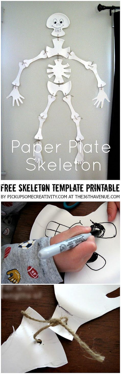 Halloween Crafts - Paper Plate Skeleton and Free Skeleton Template Printable at the36thavenue.com Bones Halloween Decor, Paper Plate Skeleton Template, Paper Plate Skeleton, Skeleton Template, 1st October, Paper Plate Crafts, Plate Crafts, Halloween Craft, Halloween Crafts For Kids