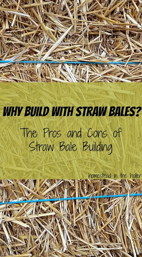 Why Build With Straw Bales? - Homestead In The Holler Diy Straw Bale House, Hay Bale House Building, Strawbale House Modern, Straw House Construction, Hay Bale House, Straw Bale House Plans, Straw House, Strawbale House, Straw Bale Building