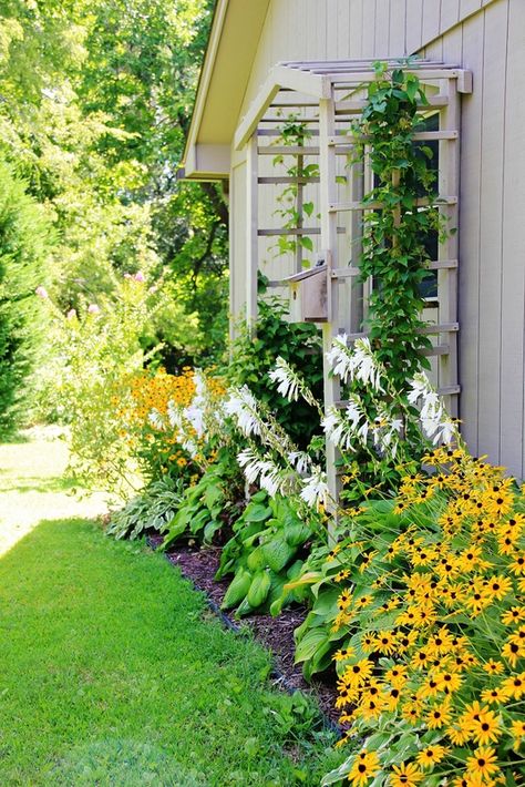 Colorful Garden-Inspired Home Tour Wall Climbing Plants, Garden Arbor, Garden Wallpaper, Side Garden, Side Yard, Climbing Roses, Climbing Plants, House Landscape, Colorful Garden