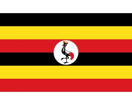 Uganda Flag Uganda Flag, Uganda Africa, Africa Flag, African Flag, Kids Around The World, National Symbols, World Geography, Flag Vector, We Are The World