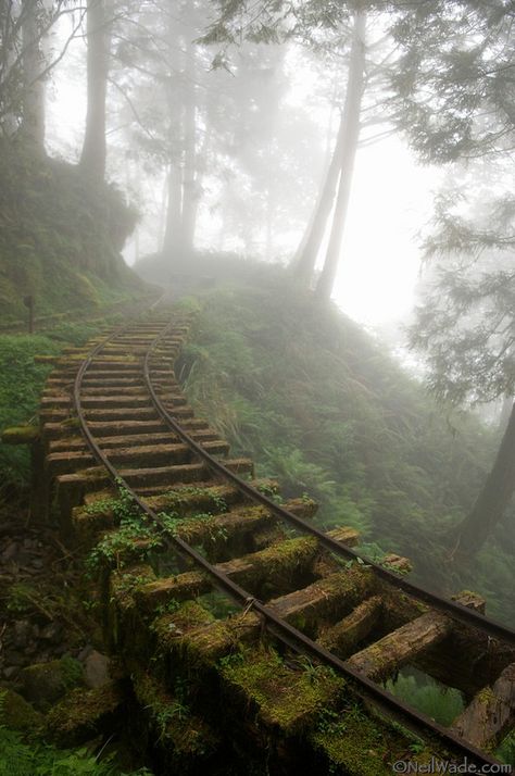 Does anyone else look at this and totally expect a herd of zombies to come ambling around the corners? Egiptul Antic, Lev Livet, Foggy Forest, Old Train, Fotografi Alam Semula Jadi, Train Tracks, Alam Semula Jadi, Nature Aesthetic, Pretty Places