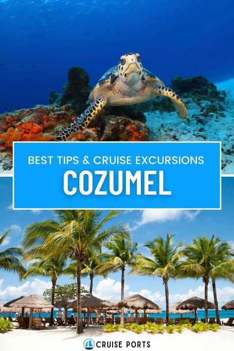 Cozumel Cruise Port: Top Attractions, Tips, and More Playa Mia Cozumel, Norweigen Cruise, Belize Cruise Port, Cozumel Cruise Port, Cozumel Mexico Cruise, Cozumel Cruise, Costa Maya Mexico, Caribbean Honeymoon, Mexico Cruise