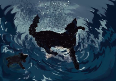 The Plague Dogs, deviantART Dogs Swimming, Plague Dogs, Faraway Tree, Comfort Movies, Summer Writing, Dog Movies, Animation Movies, Dog Swimming, The Plague