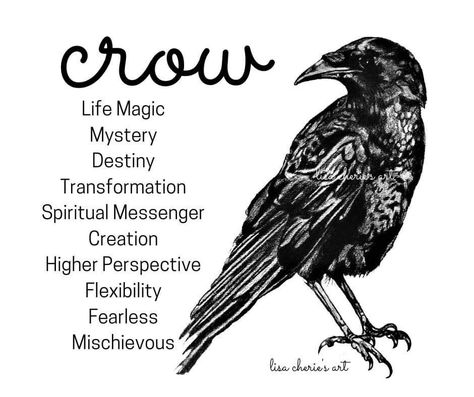 Familiars Witch Animal, Witch Familiar Animals, Witches Facts, Raven Spirit Animal, Crow Facts, Crow Spirit Animal, Mystical Creatures Mythology, Raven Pictures, Spirit Animal Meaning